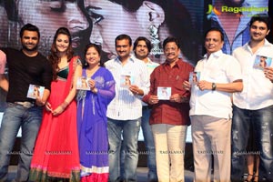 Nee Jathaga Nenundali Audio Release