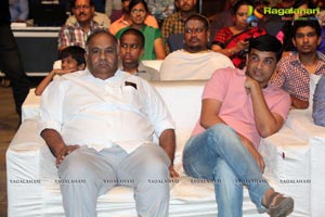 Nee Jathaga Nenundali Audio Release