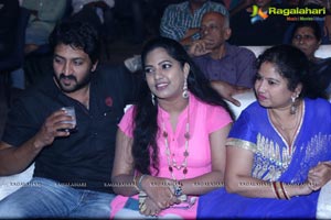 Nee Jathaga Nenundali Audio Release