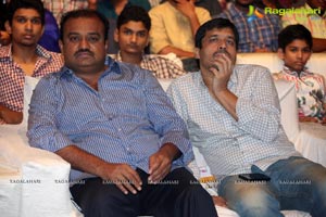 Nee Jathaga Nenundali Audio Release