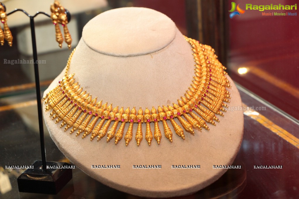 Amrapali Jewellery Exhibition (June 2014)