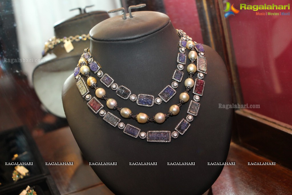 Amrapali Jewellery Exhibition (June 2014)