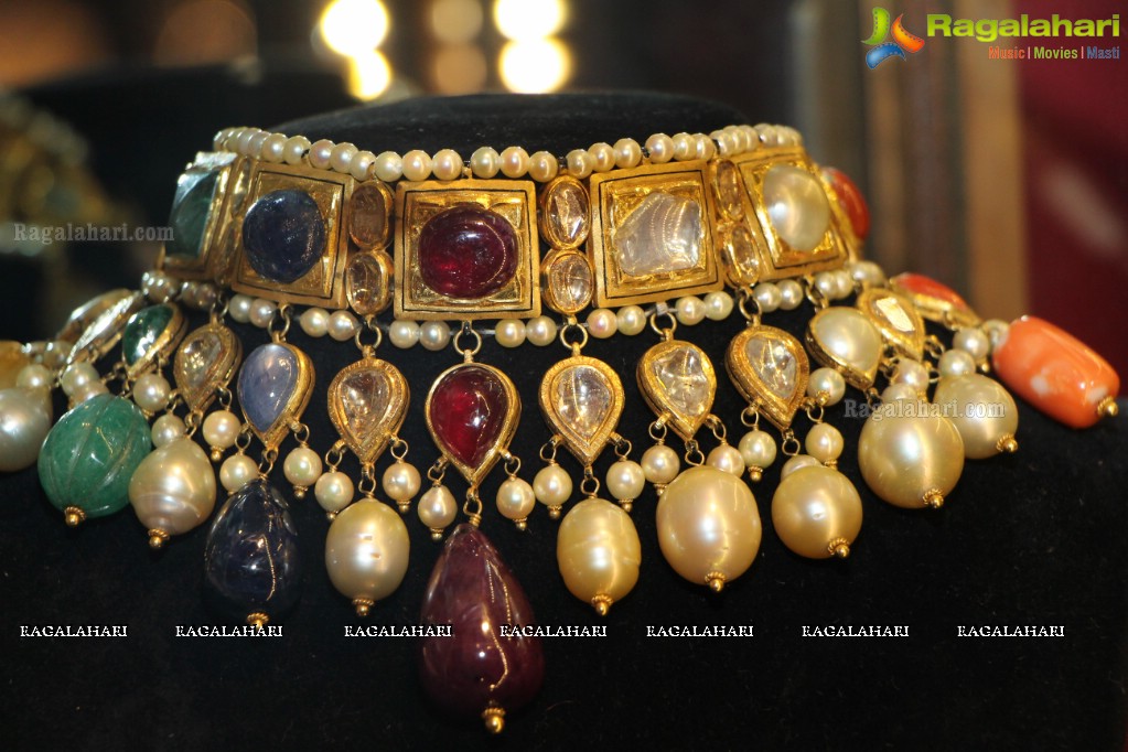 Amrapali Jewellery Exhibition (June 2014)
