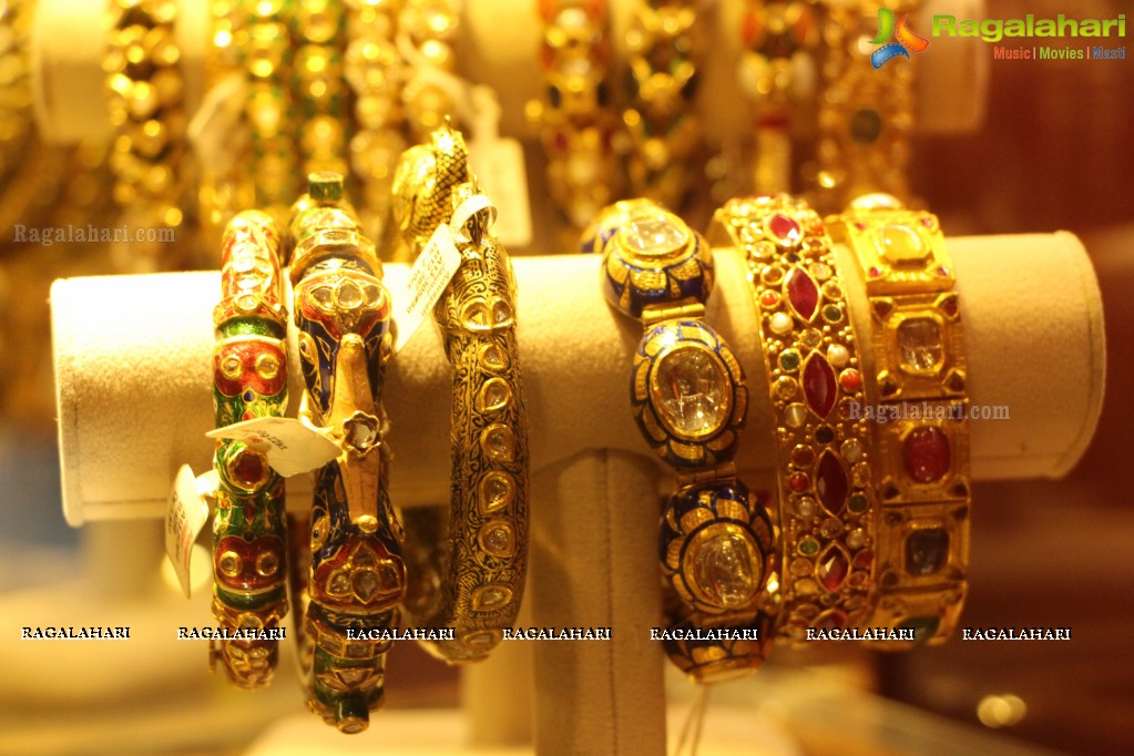 Amrapali Jewellery Exhibition (June 2014)