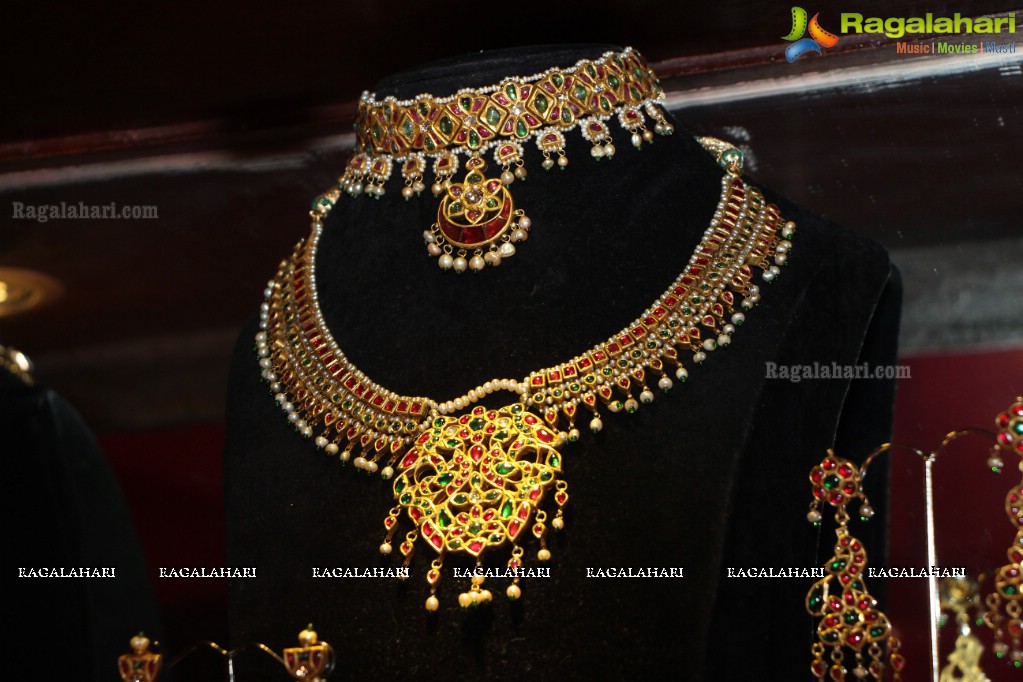 Amrapali Jewellery Exhibition (June 2014)