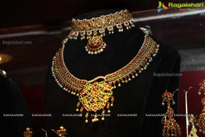 Amrapali Jewellery Exhibition