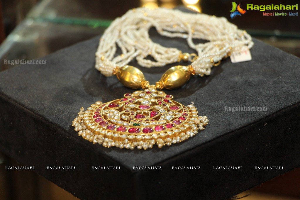 Amrapali Jewellery Exhibition (June 2014)