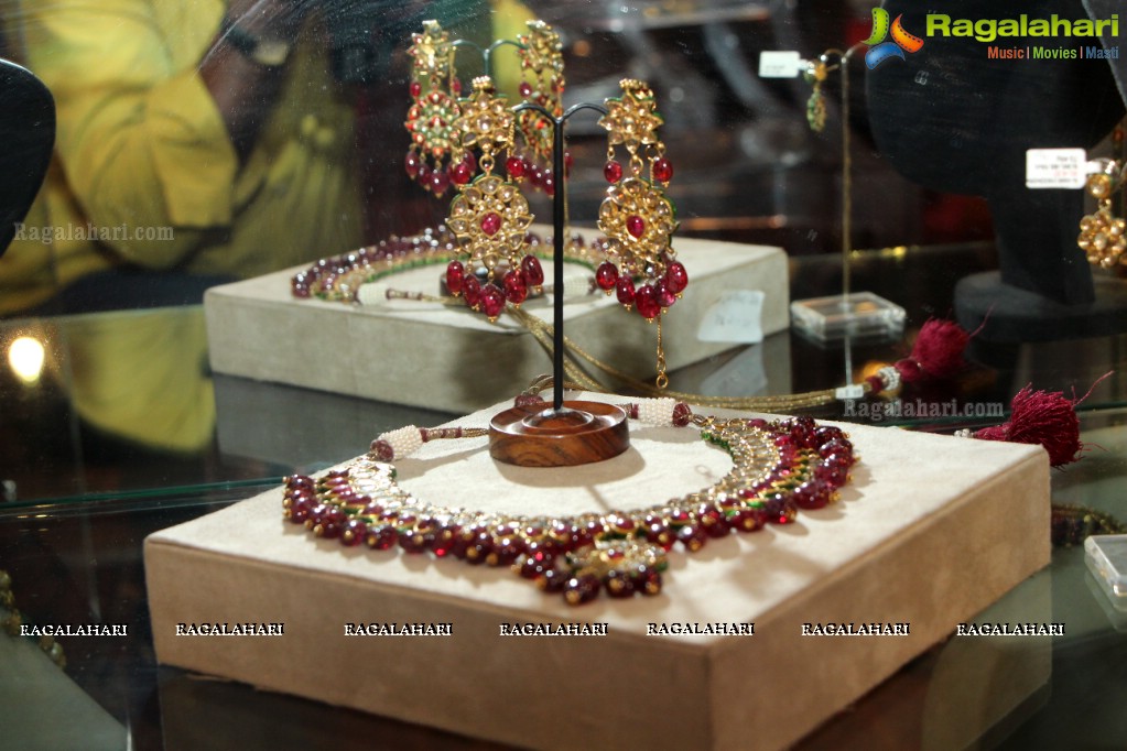 Amrapali Jewellery Exhibition (June 2014)