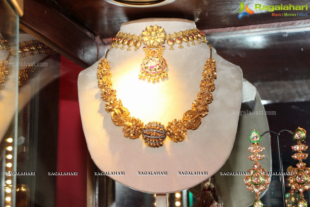 Amrapali Jewellery Exhibition (June 2014)