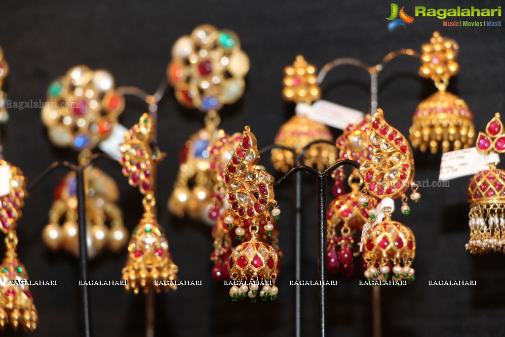 Amrapali Jewellery Exhibition (June 2014)