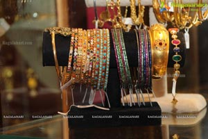 Amrapali Jewellery Exhibition