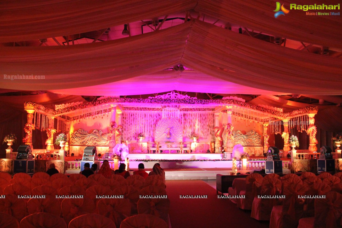 Anata-Rama Wedding Reception at N Convention, Hyderabad