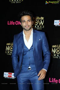 Life Ok Now Awards 2014