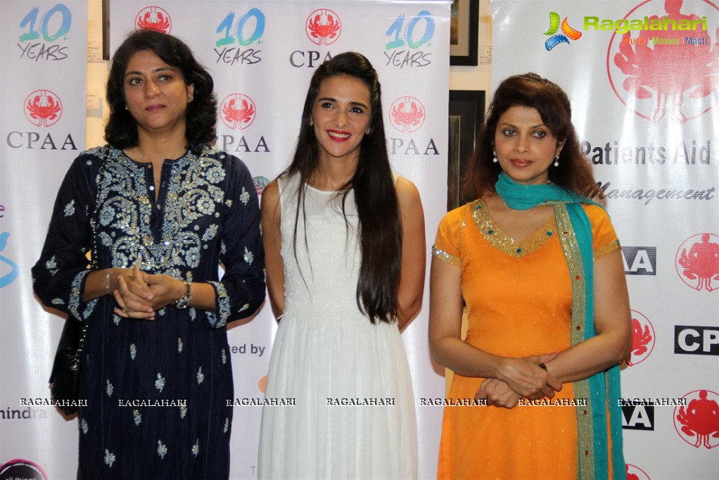 Bolly Celebs at Art Exhibition ‘Colours of Life’