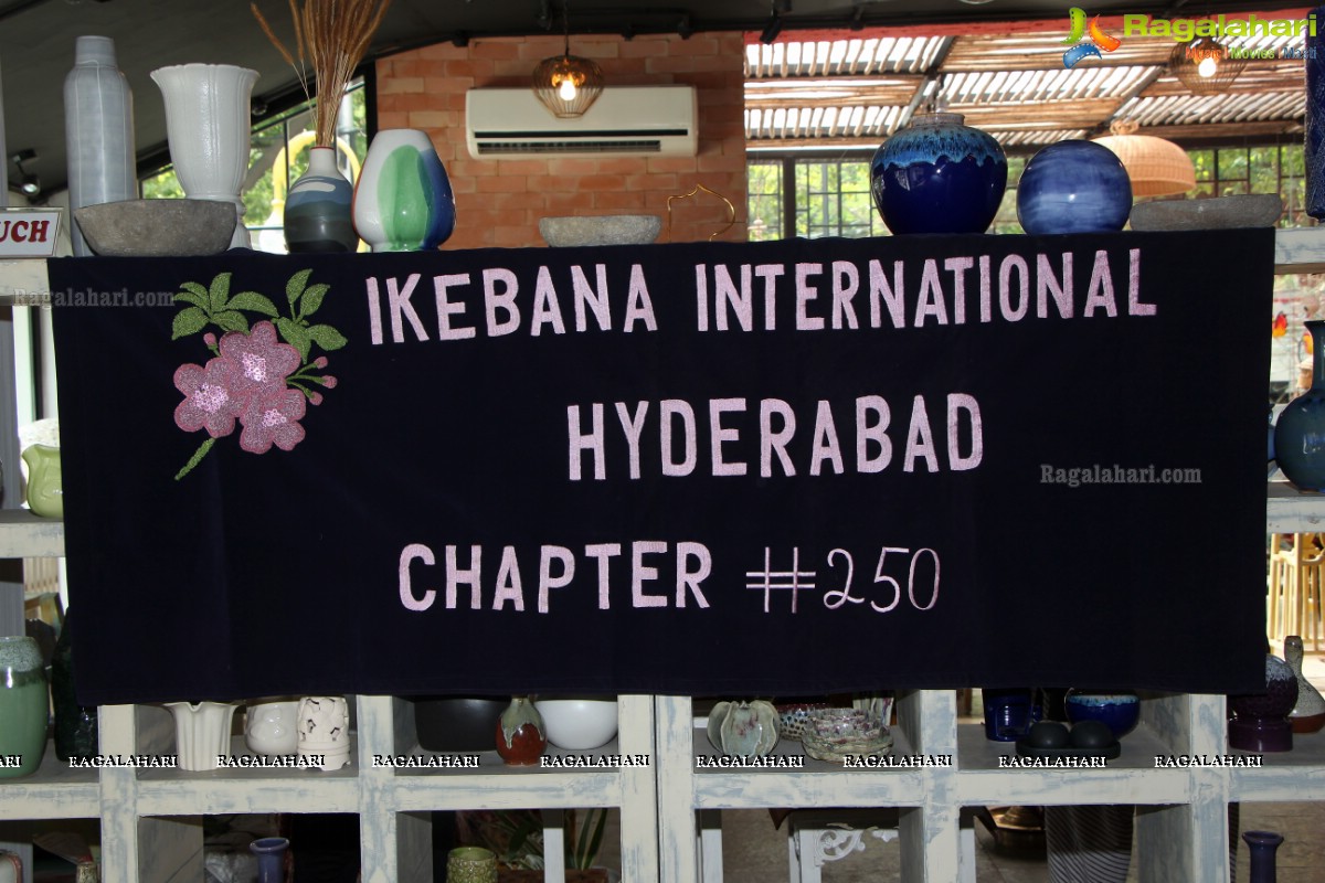 'Eucalyptus & Ikebana' - An Ikebana Exhibition, Hyderabad