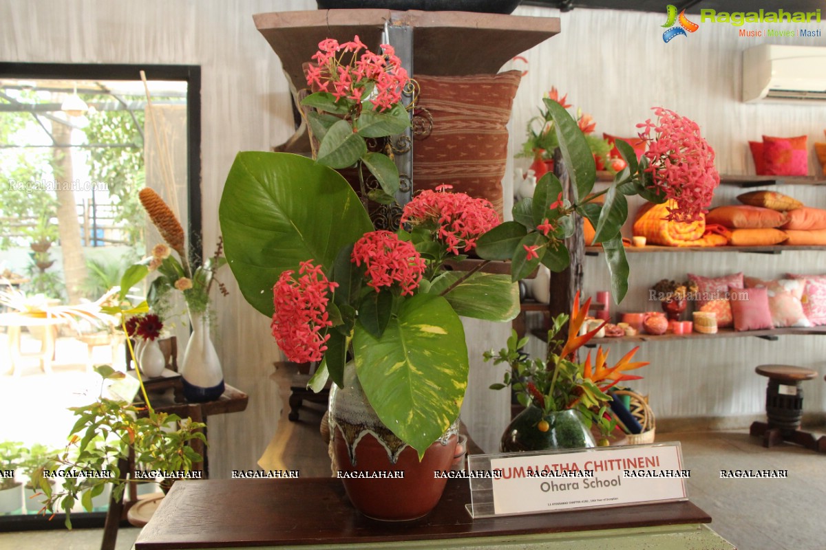 'Eucalyptus & Ikebana' - An Ikebana Exhibition, Hyderabad