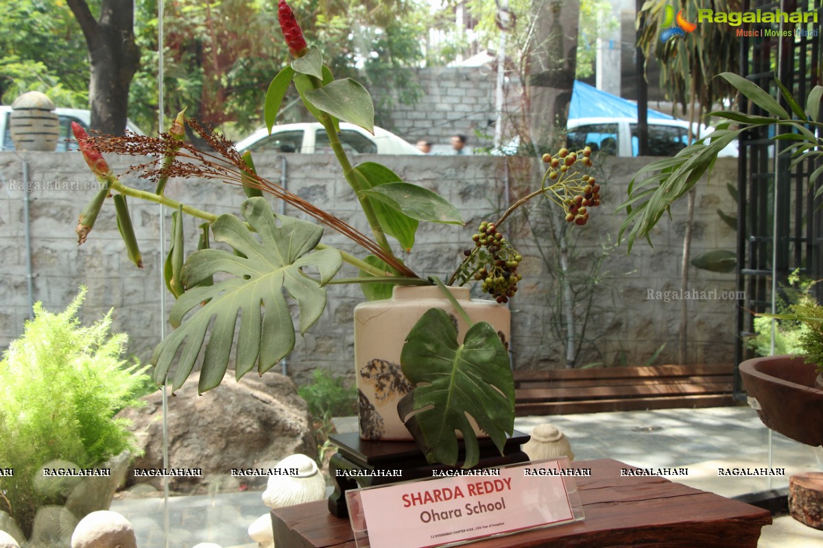 'Eucalyptus & Ikebana' - An Ikebana Exhibition, Hyderabad