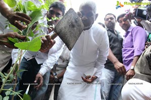 Ilayaraja Birthday Celebrations