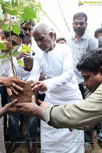 Ilayaraja Birthday Celebrations