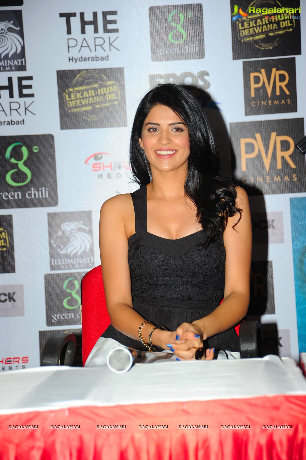 Lekar Hum Deewana Dil Press Meet, Hyderabad