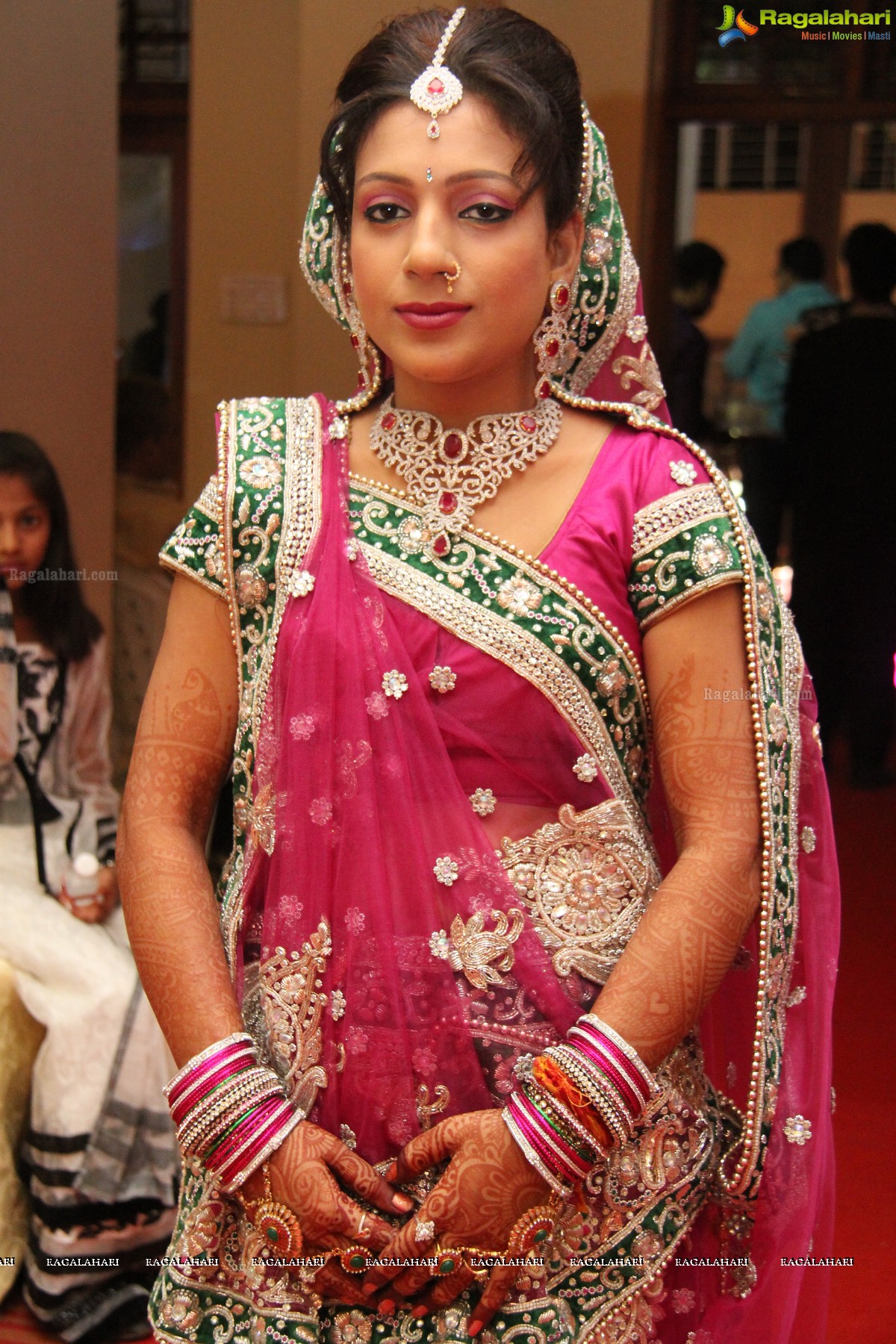 Navneet-Pooja Wedding Reception at Haryana Bhavan, Hyderabad