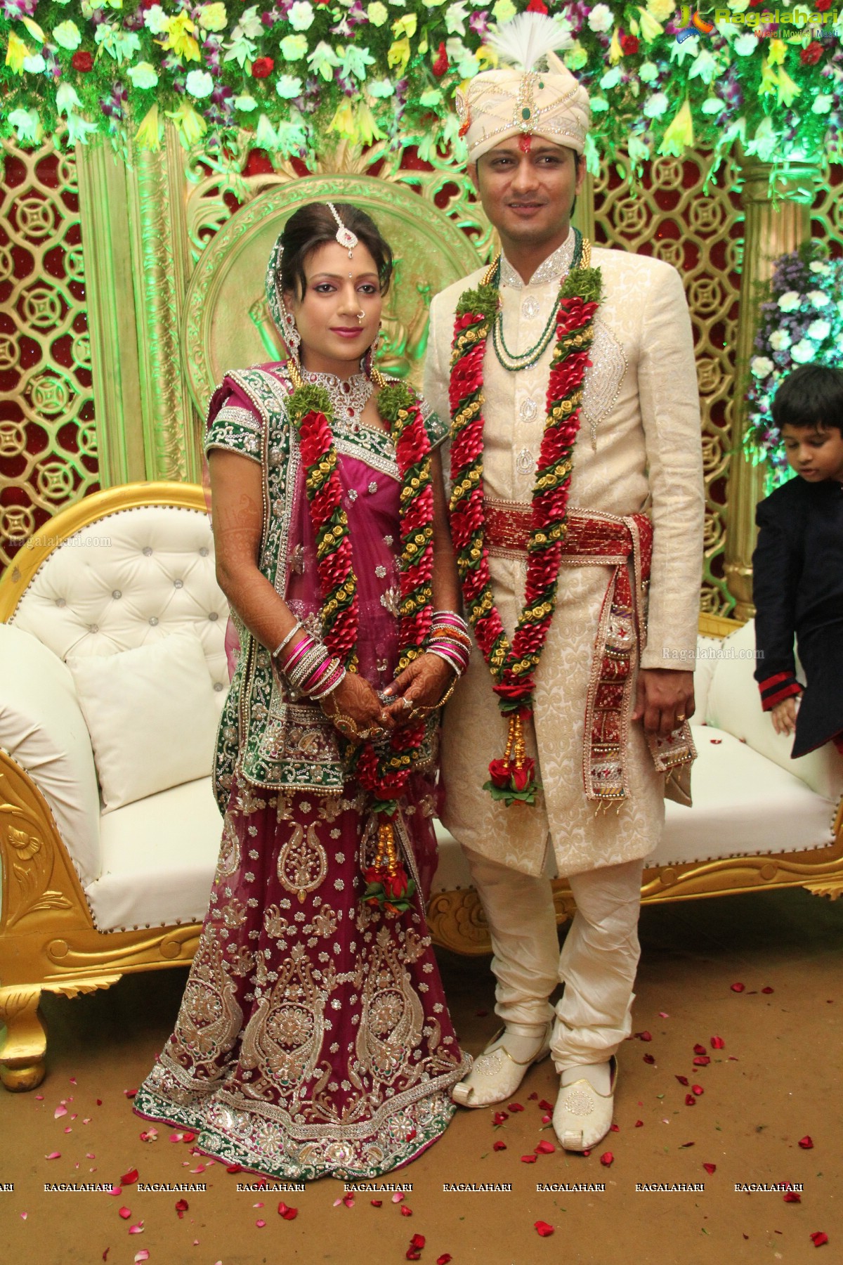 Navneet-Pooja Wedding Reception at Haryana Bhavan, Hyderabad