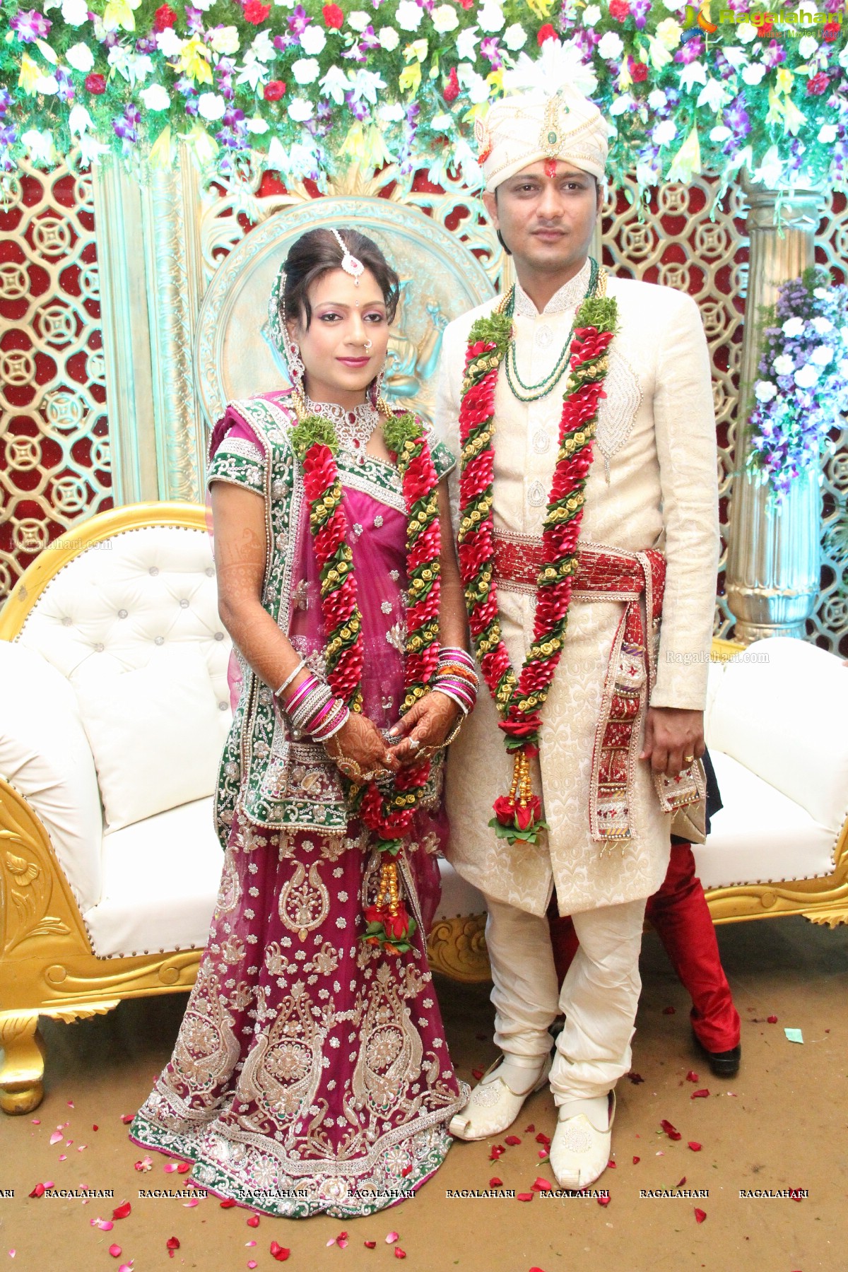 Navneet-Pooja Wedding Reception at Haryana Bhavan, Hyderabad