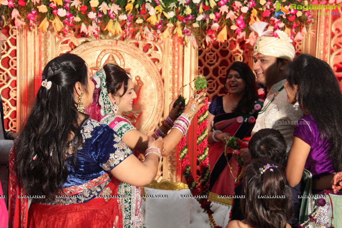 Navneet-Pooja Wedding Reception at Haryana Bhavan, Hyderabad