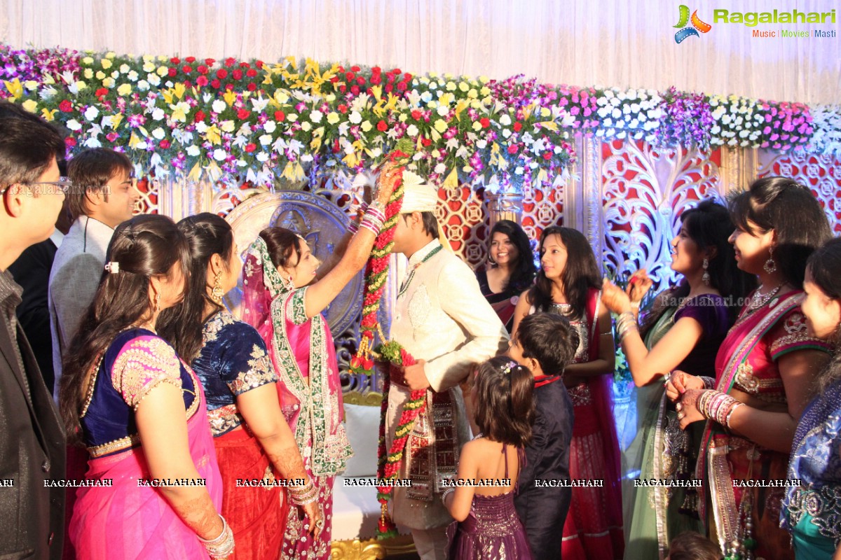 Navneet-Pooja Wedding Reception at Haryana Bhavan, Hyderabad