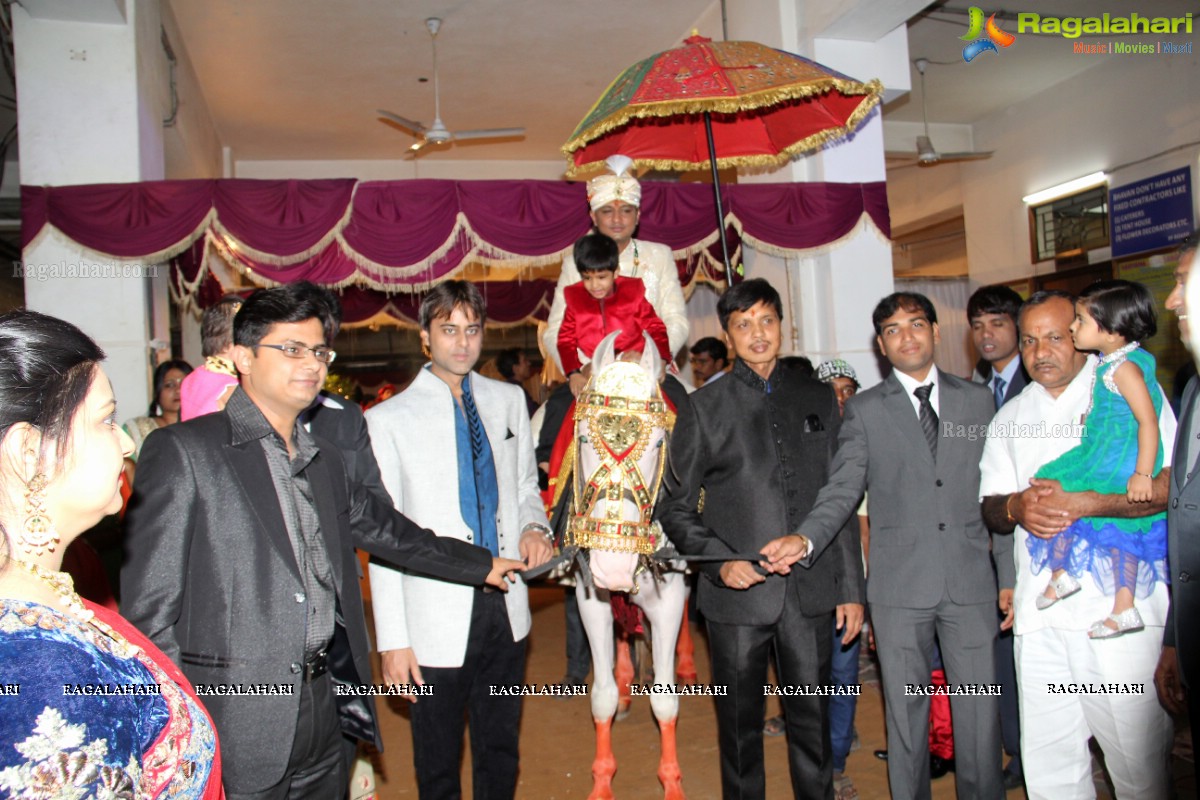 Navneet-Pooja Wedding Reception at Haryana Bhavan, Hyderabad