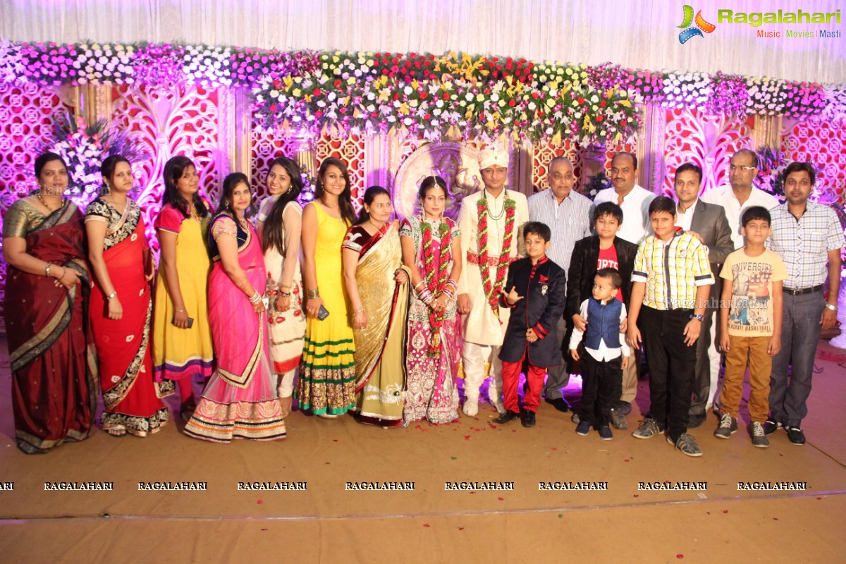 Navneet-Pooja Wedding Reception at Haryana Bhavan, Hyderabad