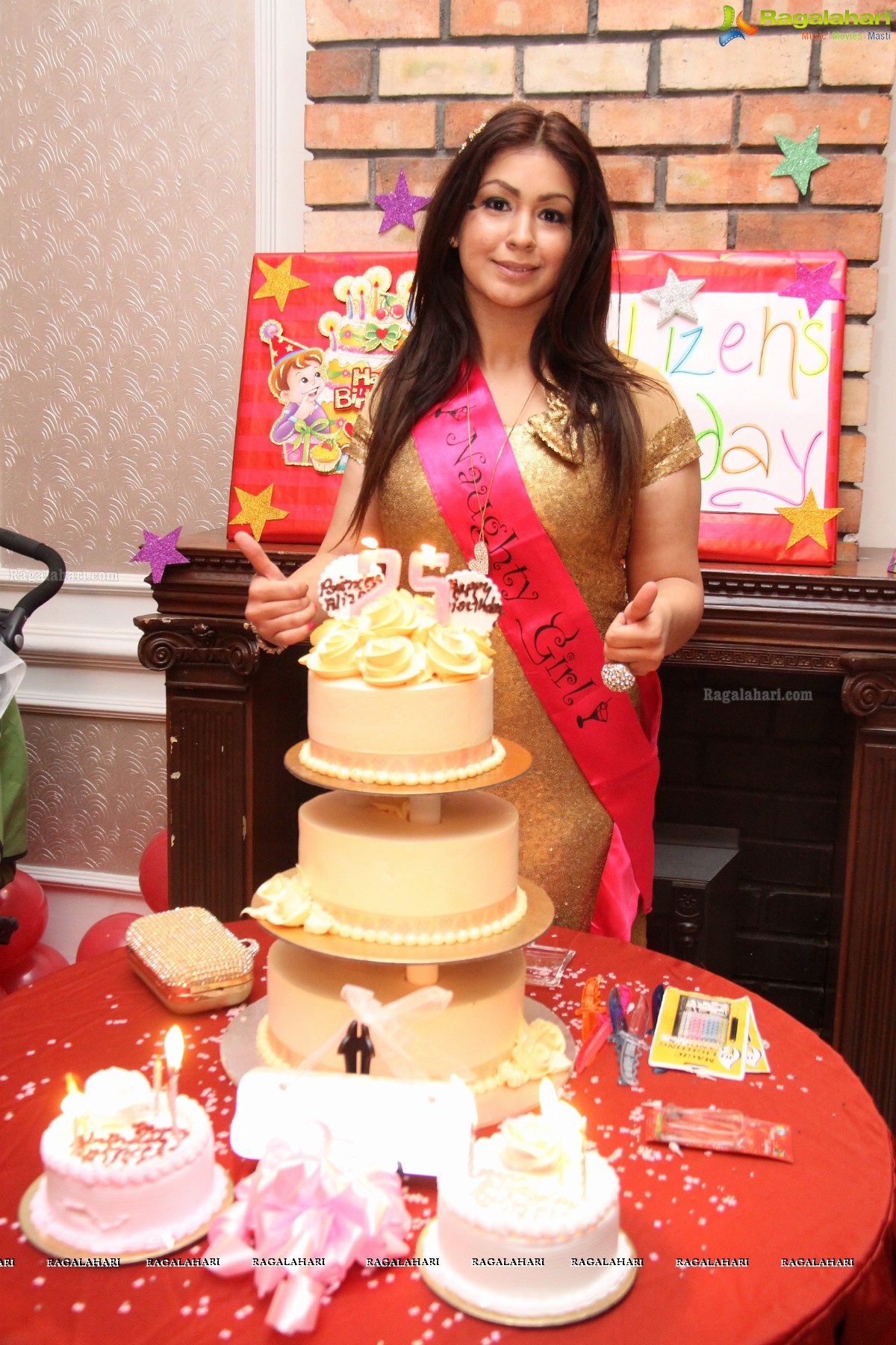 Alizeh Shirazi Birthday Bash 2014