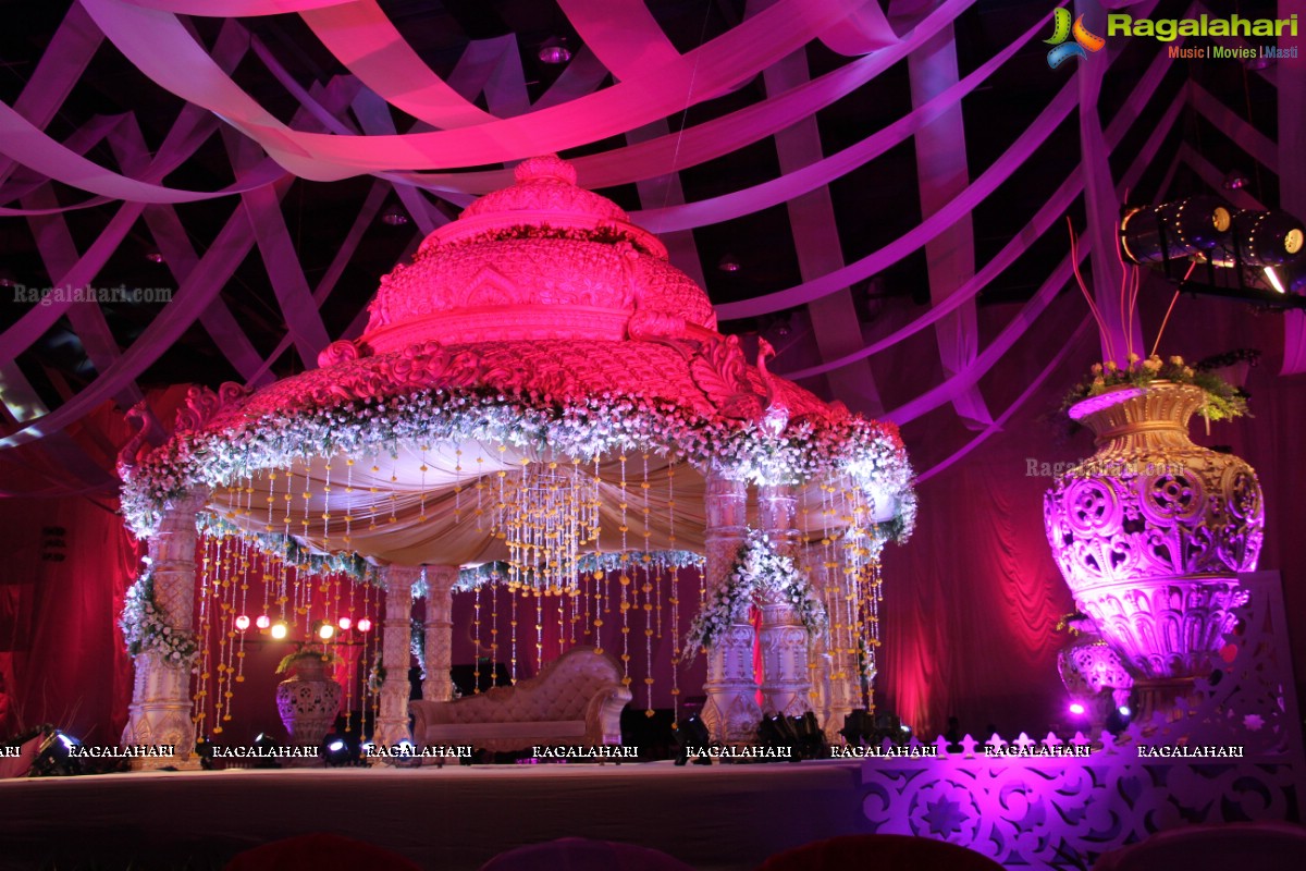 Wedding Ceremony of Sahil Gulati and Priyanka