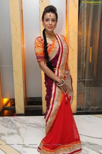 South Indian Sarees