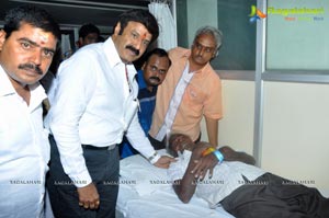 Balakrishna Birthday Celebrations