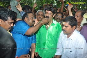 Balakrishna Birthday Celebrations