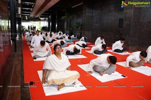 Yoga Day Celebrations