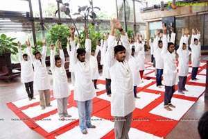 Yoga Day Celebrations