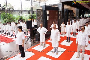 Yoga Day Celebrations