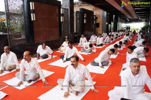 Yoga Day Celebrations