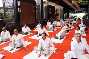 Yoga Day Celebrations