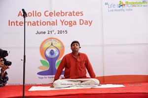 Yoga Day Celebrations