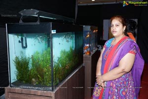 Aqua Life 2015 Exhibition