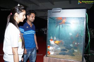 Aqua Life 2015 Exhibition