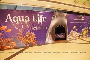 Aqua Life 2015 Exhibition