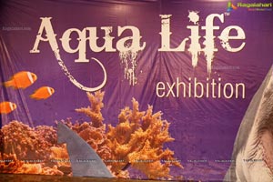 Aqua Life 2015 Exhibition