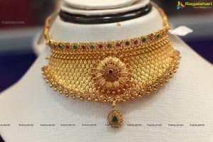 Hyderabad Jeweller Pearl Gem Fair 2015