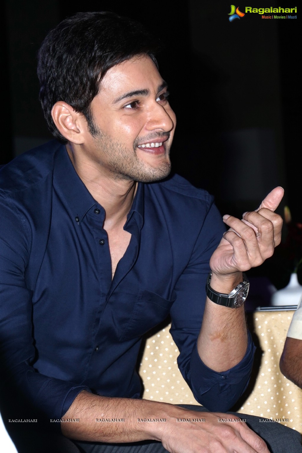 Mahesh Babu at Rainbow Hospitals Press Meet