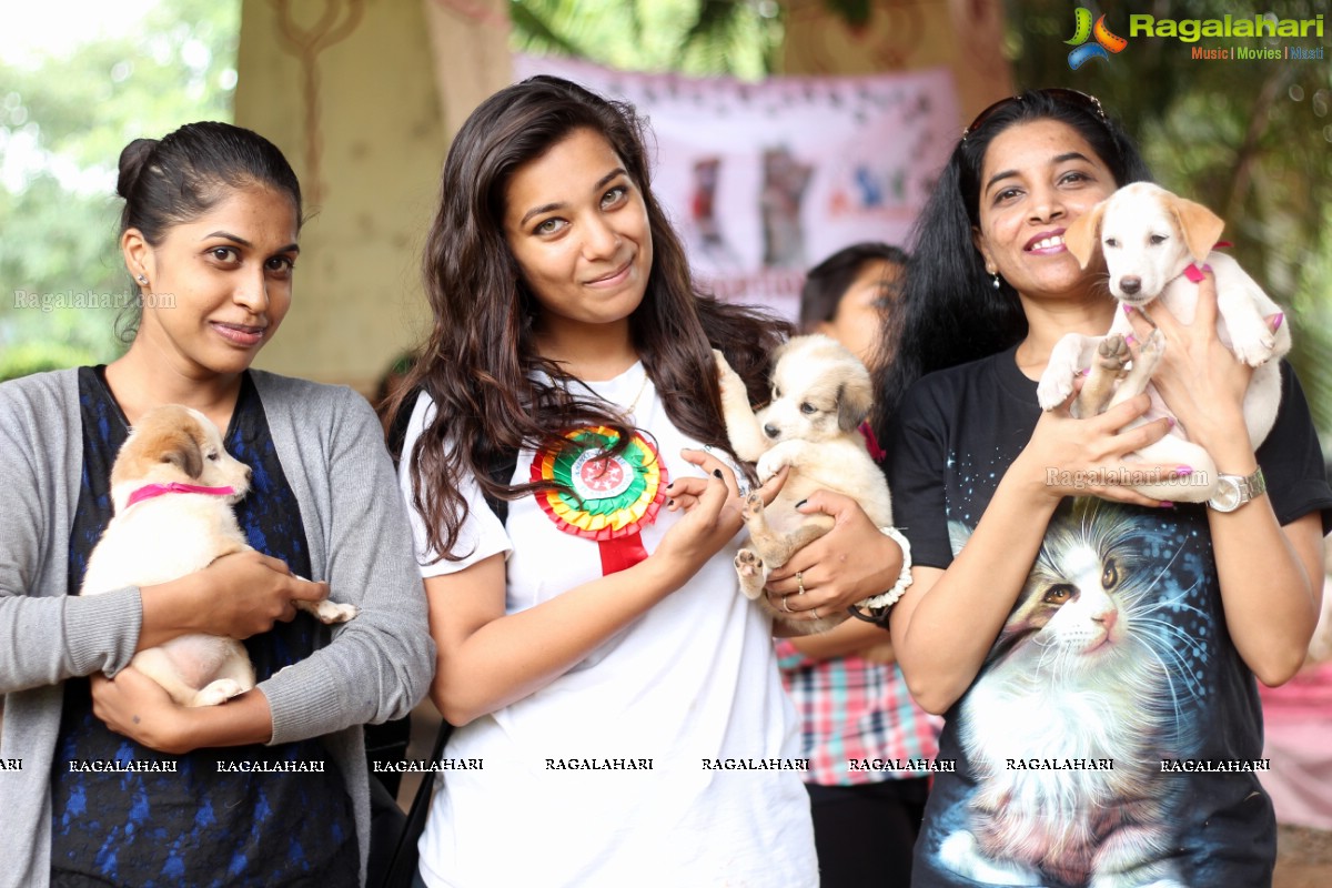 9th Pet Adoption Drive in Hyderabad