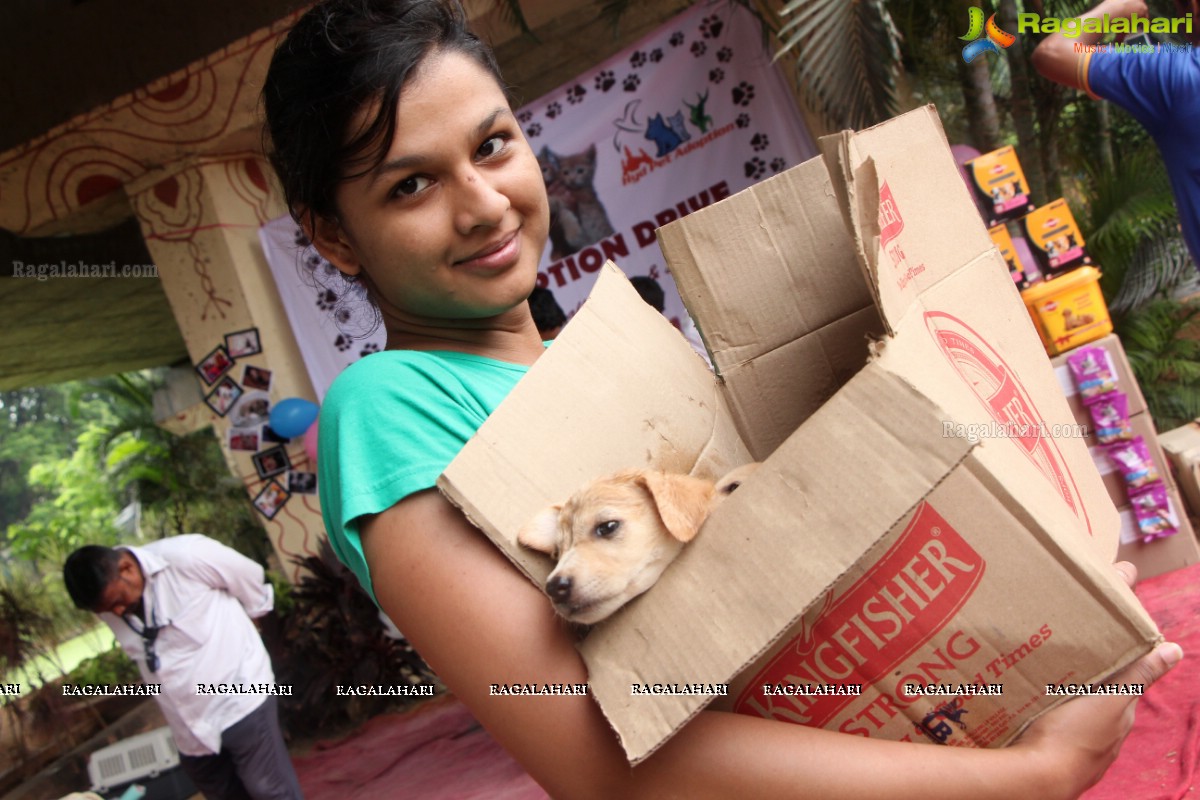 9th Pet Adoption Drive in Hyderabad